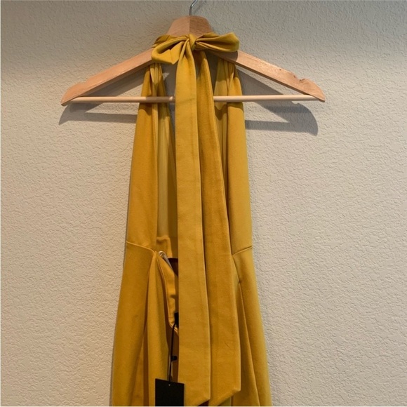 NBD Jenny From the Block Gown​​ - Picture 5 of 6